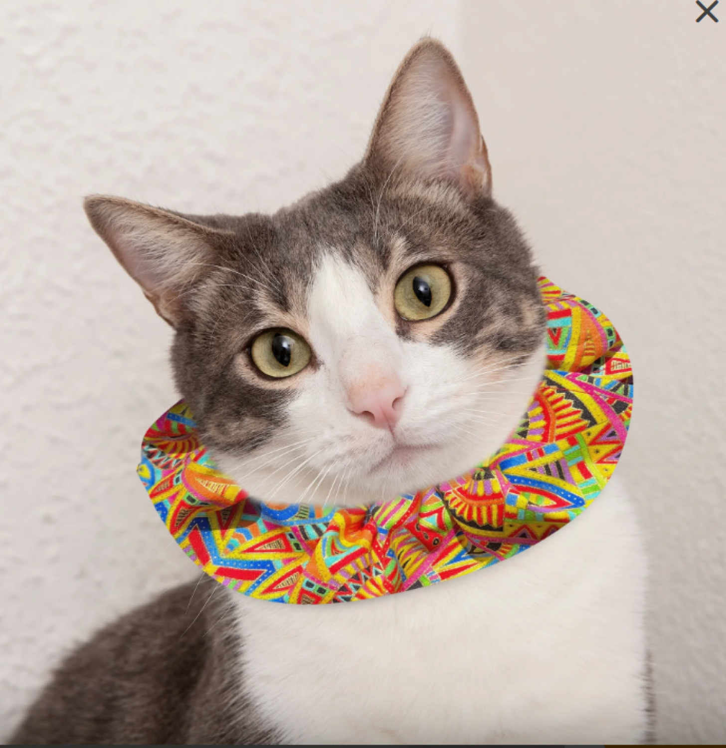 Birdsbesafe® Katzen-Halskrause Geo